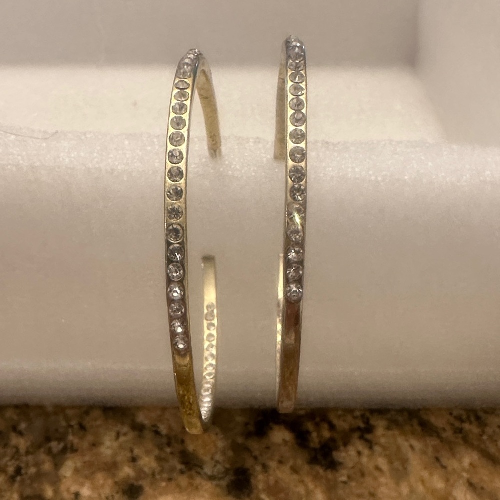 Elegant Gold and Silver Hoop Earrings